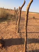 Album Reboisement Yarka Cimetière : Clôture de protection autour du site