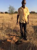 Album Reboisement Yarka Cimetière : Plantation de nouveaux arbres