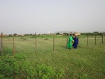 Album Reboisement Yarka Autre endroit au village : Plantation d'une clôture pour protéger les futures plantations