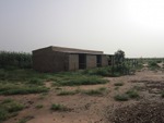 Album Reboisement Yarka Autre endroit au village : Plantation d'une clôture pour protéger les futures plantations